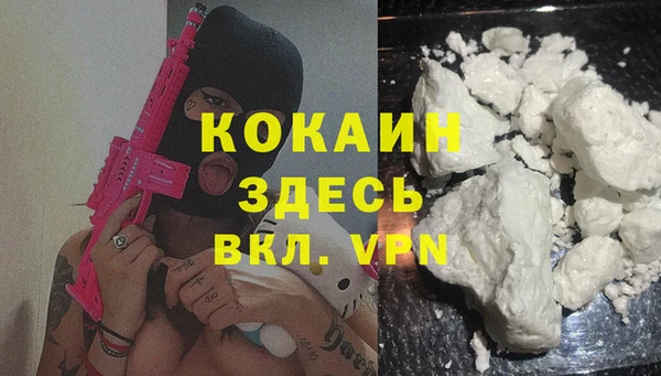 ГАЛЛЮЦИНОГЕННЫЕ ГРИБЫ Баксан