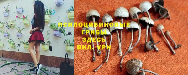 меф Пестово