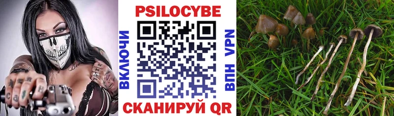 Псилоцибиновые грибы Psilocybe  Пролетарск 